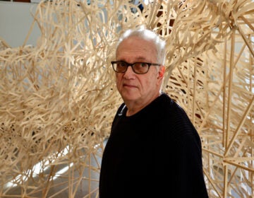 Artist Stephen Talasnik stands within his sculpture, a glacier made of wood and bamboo