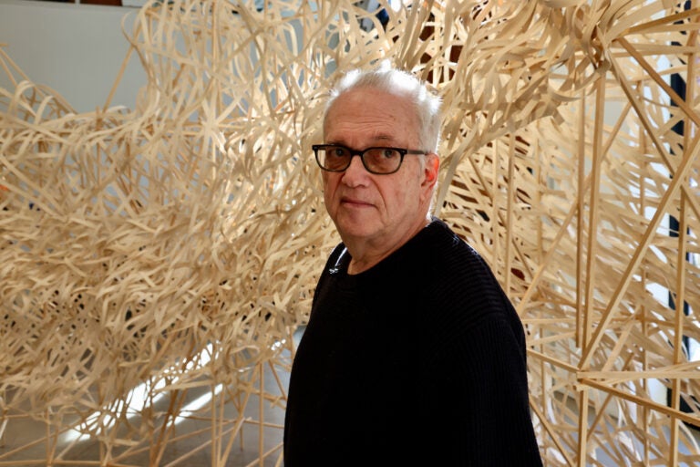 Artist Stephen Talasnik stands within his sculpture, a glacier made of wood and bamboo