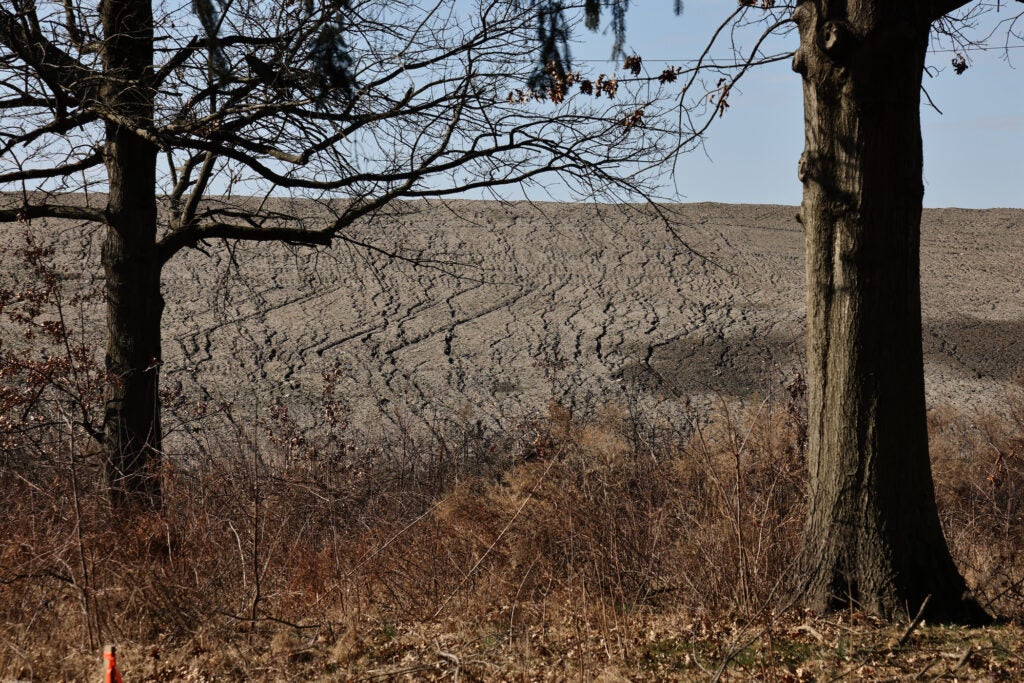 A mound of dirt covers what was once a meadow at FDR Park