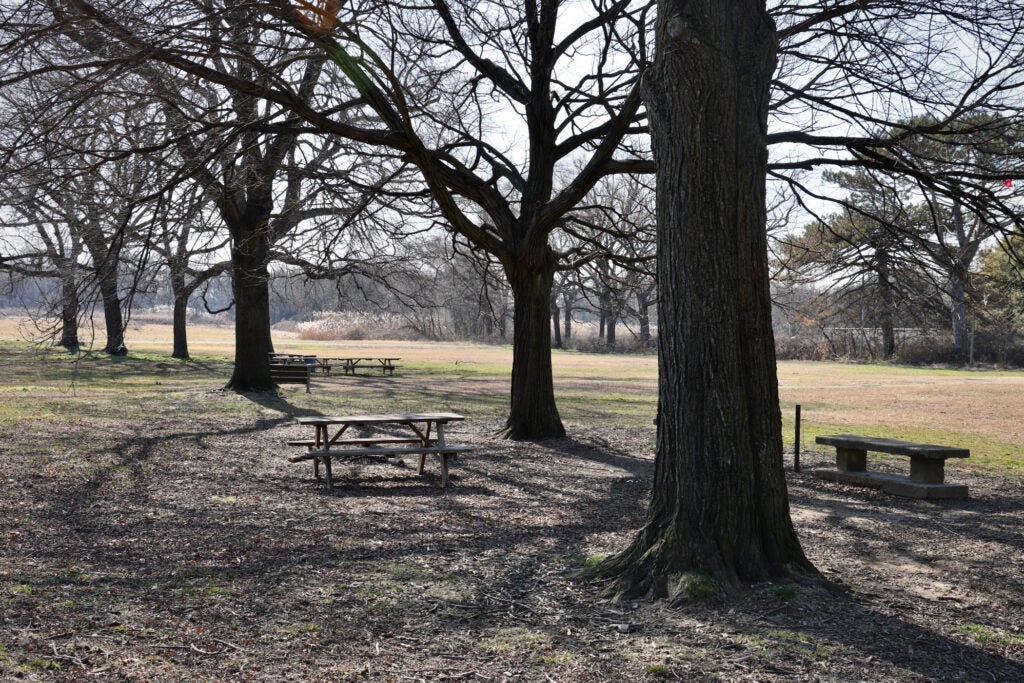 Mature trees shade a picnic area which is slated to become a soccer field