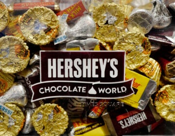 A mixture of Hershey's chocolates is displayed in the company's Times Square store