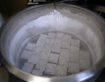 File photo: In this Tuesday, Oct. 2, 2018 photo, containers holding frozen embryos and sperm are stored in liquid nitrogen at a fertility clinic in Fort Myers, Fla.