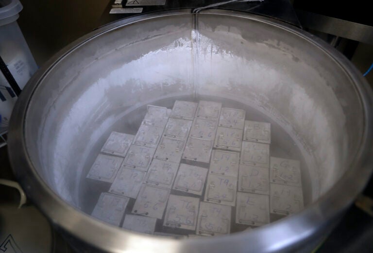 File photo: In this Tuesday, Oct. 2, 2018 photo, containers holding frozen embryos and sperm are stored in liquid nitrogen at a fertility clinic in Fort Myers, Fla.