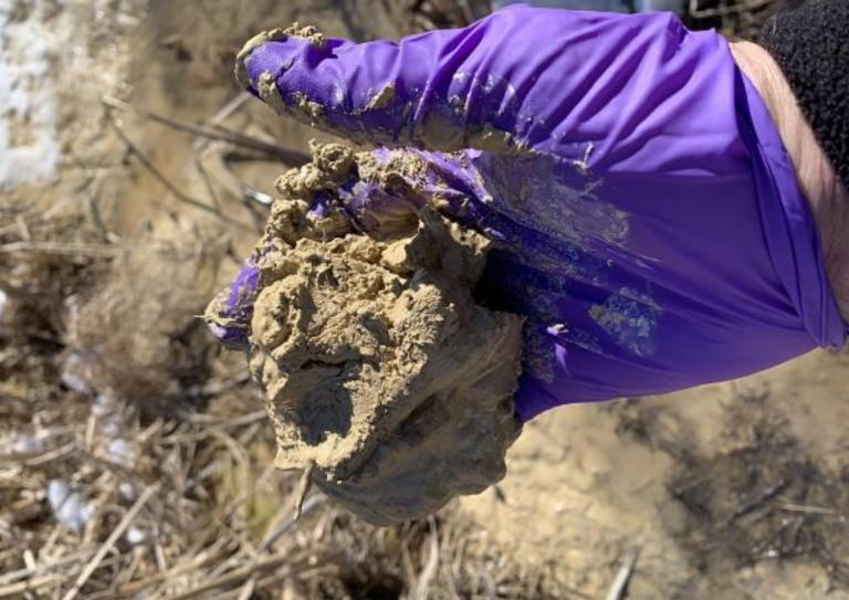 A person holding up a muddy clay-like substance.