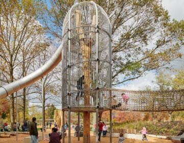 The images shows two circa 15-feet victorian bird cages and a slide.