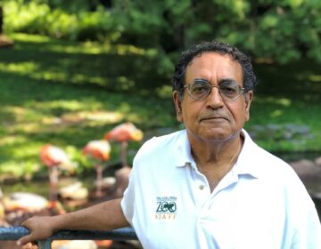 Vik Dewan poses for a photo in front of flamingos at the Philadelphia Zoo.