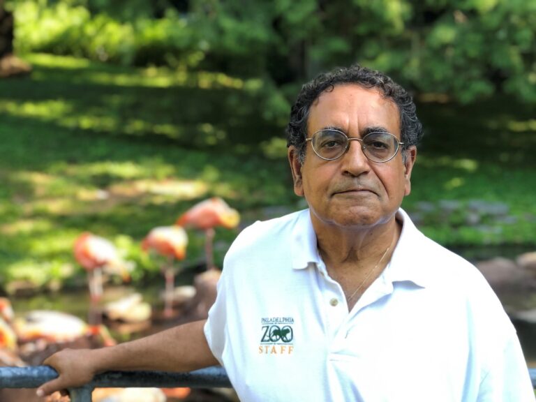 Vik Dewan poses for a photo in front of flamingos at the Philadelphia Zoo.