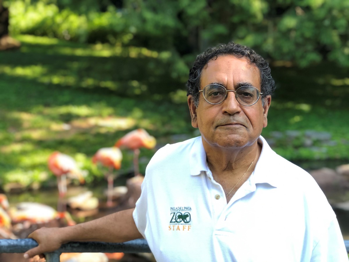 Former Philly Zoo CEO Vik Dewan isn't retiring from philanthropy - Vimarsana News