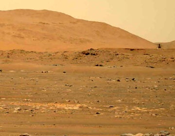 An image taken by the Mars Perseverance rover.