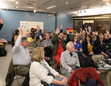 People in an audience raise their hands