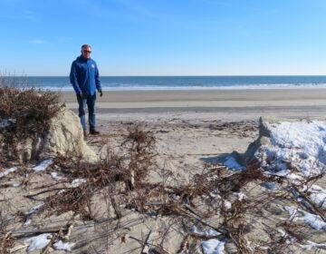 Mayor Patrick Rosenello stands next to a destroyed section of sand dune in North Wildwood