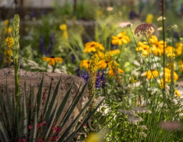 A floral installation at the Flower Show