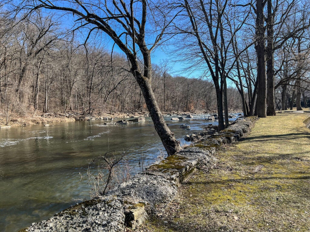 A view of the Brandywine River
