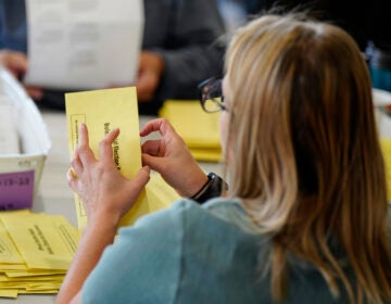 An election worker is sorting mail-in ballots