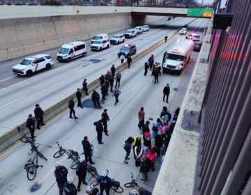Dozens of arrests were made after a large demonstration partially shut down Interstate 676 westbound in Center City on Saturday. (Peter Crimmins/WHYY)