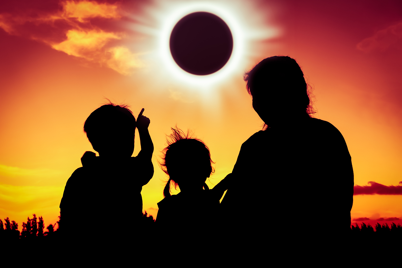 Chasing the Eclipse - Vimarsana News