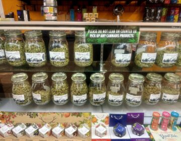 Marijuana in jars on a shelf