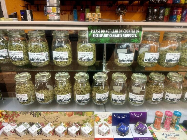 Marijuana in jars on a shelf