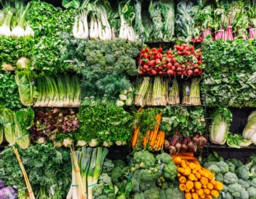 A plant-based diet is not just good for your health, it's good for the planet. (Alexander Spatari/Getty Images)