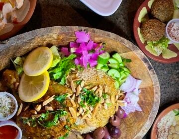 A view from above of chicken mandi, spicy labneh, falafel, and hummus at Fishtown's Jordanian Alamodak Restaurant & Hookah Bar.