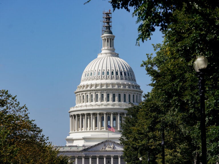 A view of the Capitol