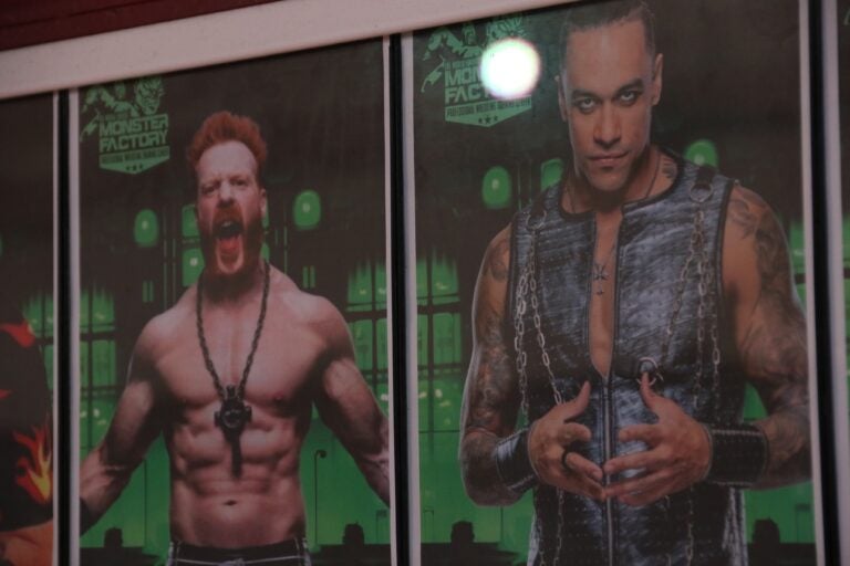 WWE superstars Sheamus and Damien Pries