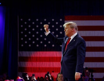 Donald Trump raises his fist onstage
