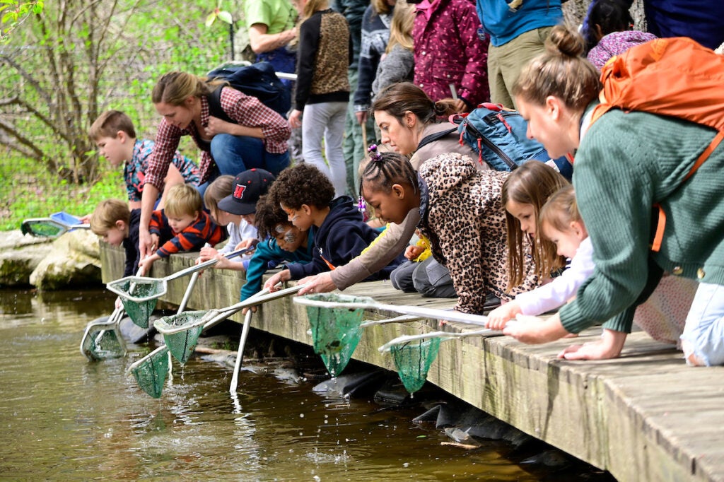 Annual Naturepalooza at Schuylkill Center for Environmental Education