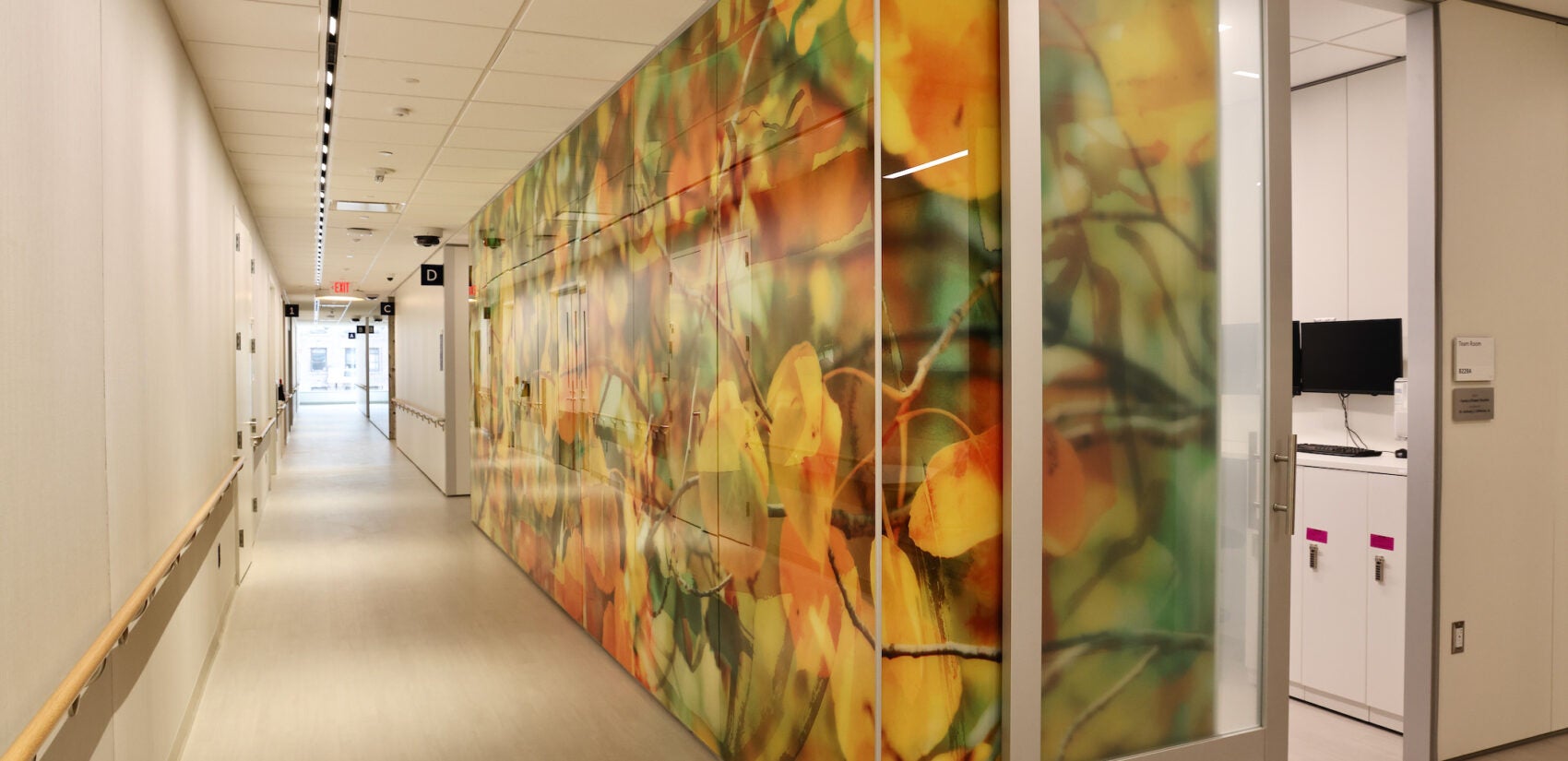 a hallway at the Honickman Center with a colorful and calming wall