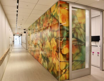 a hallway at the Honickman Center with a colorful and calming wall