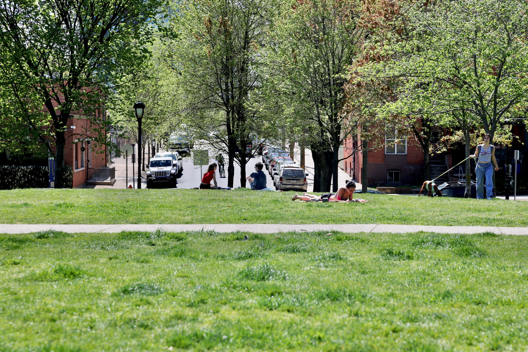 Drexel University phases out herbicides, pesticides on campus - WHYY