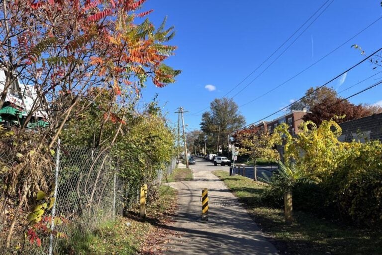 Haws Avenue trailhead