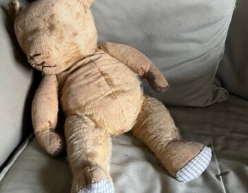 Marty's childhood teddy bear
