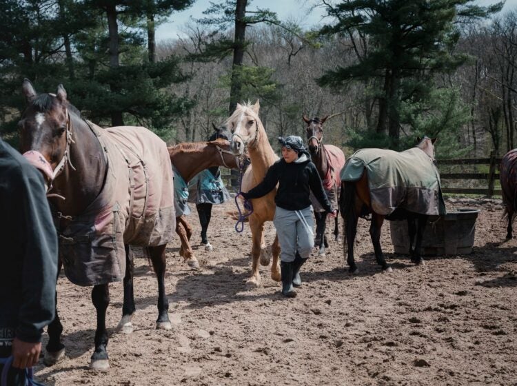 A rider and horse at Northwestern Stables in Philadelphia