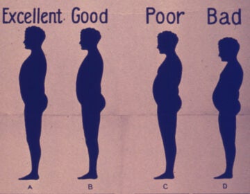 Poster displaying different forms of posture from excellent to bad
