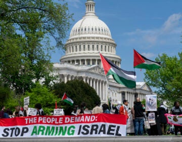 Pro-Palestinian activists demonstrate outside the Capitol