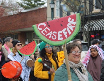 people marching in the street for a ceasefire