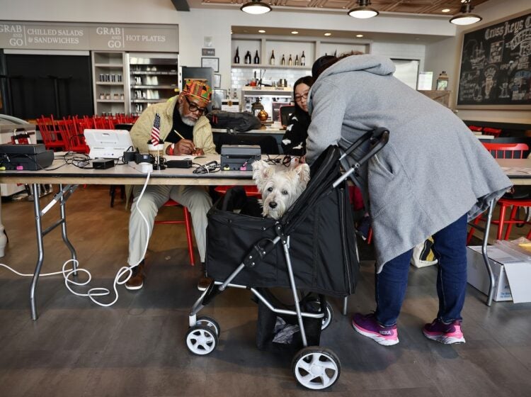 Melissa Lewis brought her dog, Poppy, to her polling place at the Museum of the American Revolution