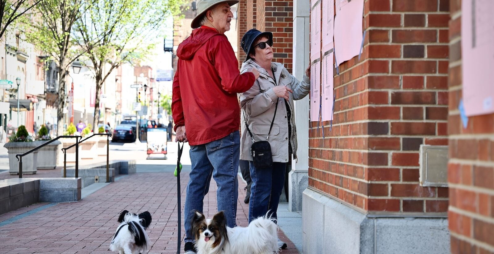 Robert and Joan Greenstein, accompanied by their dogs, Erda and Orion, look over a sample ballot before voting at the Museum of the American Revolution in Old City