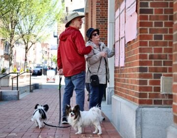 Robert and Joan Greenstein, accompanied by their dogs, Erda and Orion, look over a sample ballot before voting at the Museum of the American Revolution in Old City