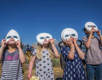 children watching the eclipse