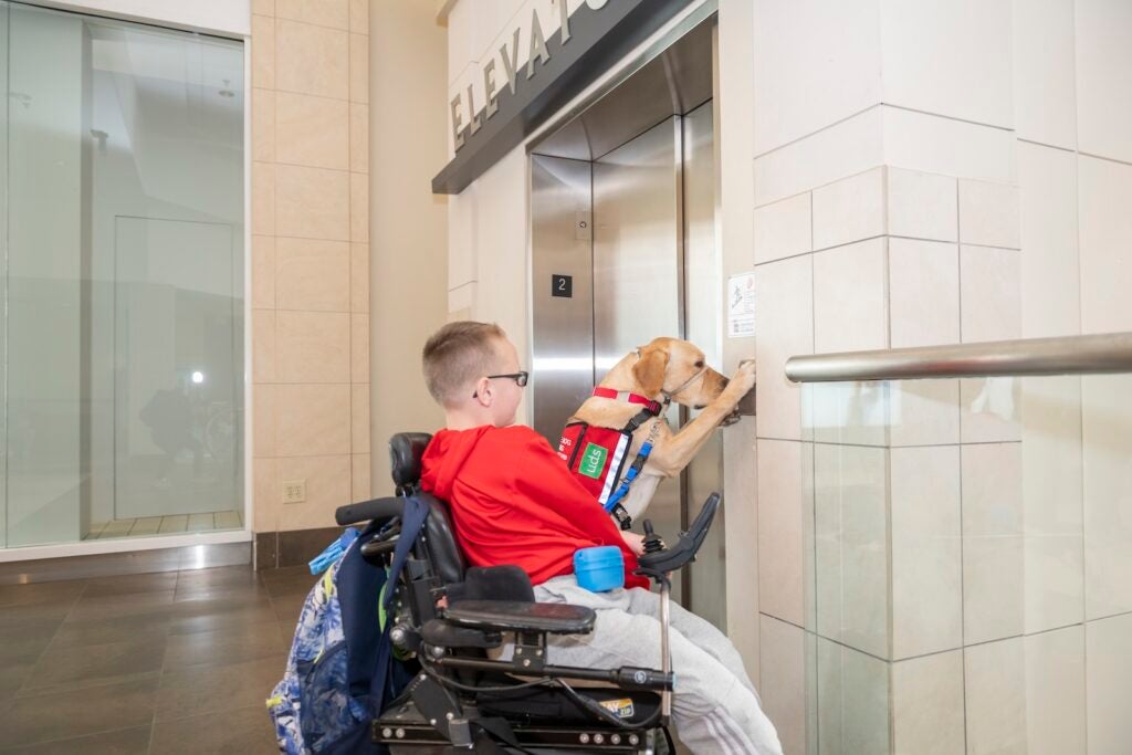Griffin watches as his service dog Jackson pushes the buttons on an elevator