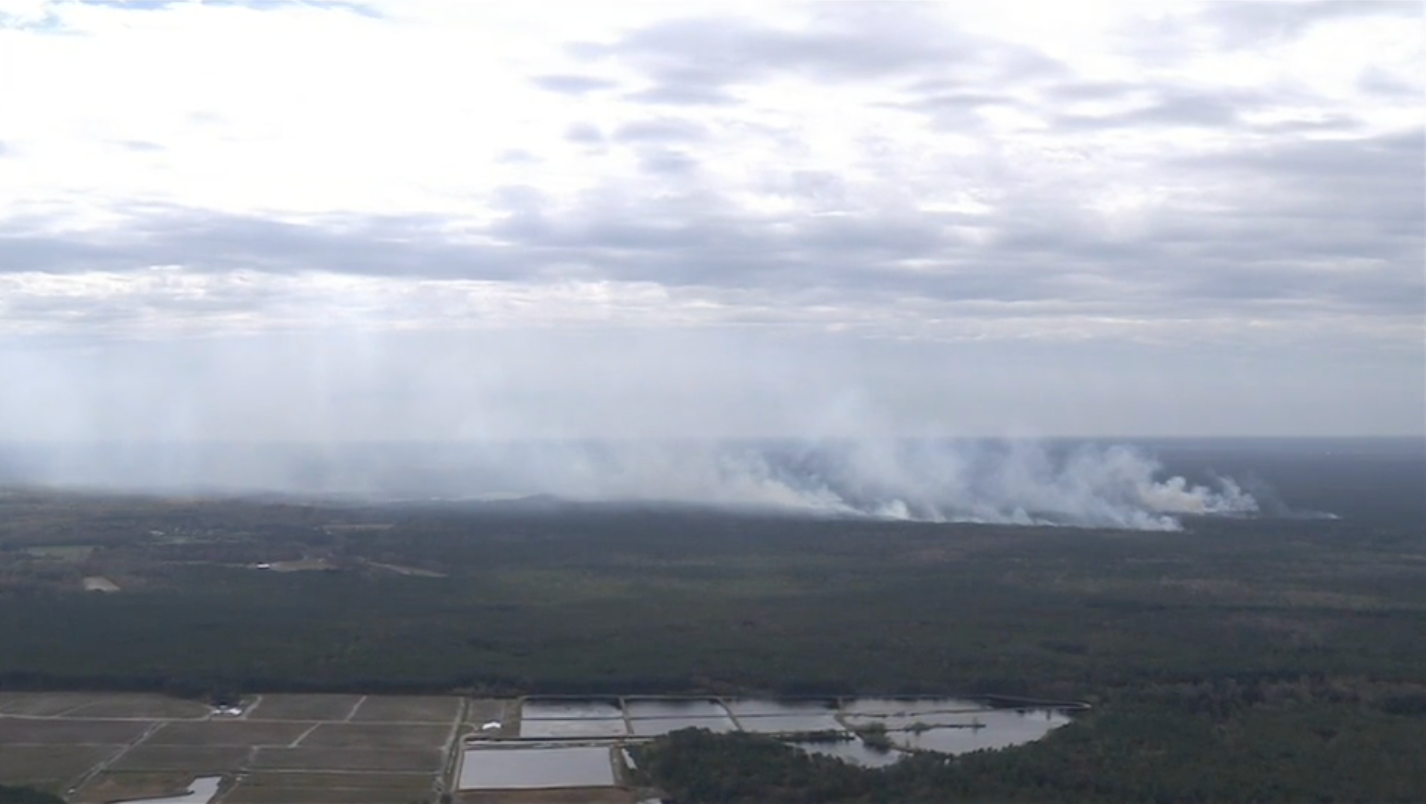 Wildfire burning in Wharton State Forest