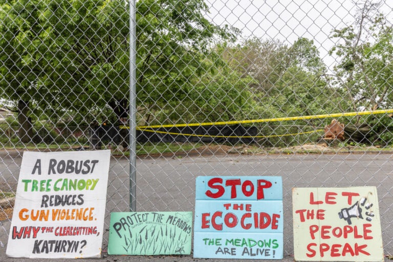 signs read stop the ecocide, the meadows are alive!, let the people speak, protect the meadows and a robust tree canopy reduces gun violence, why the clearcutting kathryn?