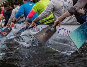 Dragon boat on the water