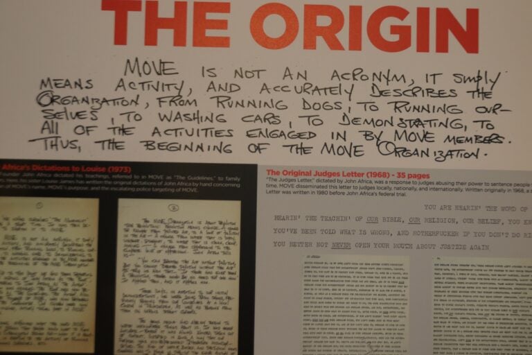 an artifact explaining the origins of the MOVE organization