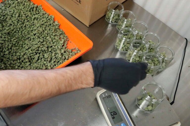 measuring marijuana at a dispensary