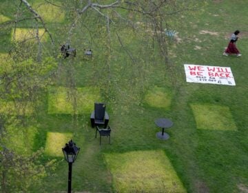 a lawn at Brown University
