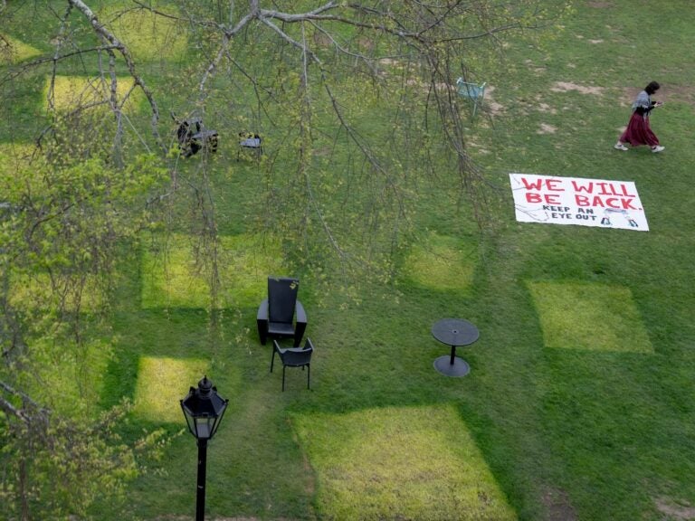 a lawn at Brown University