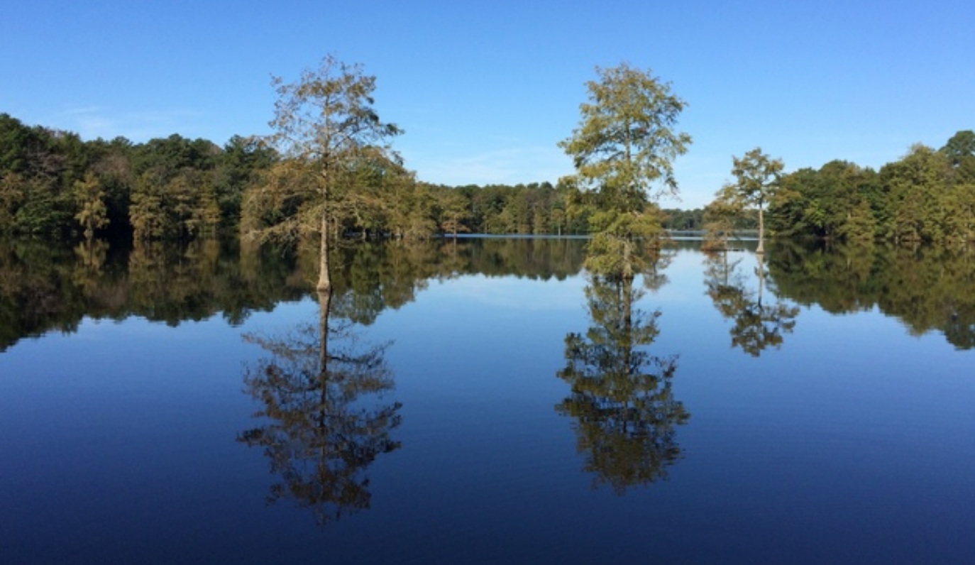 Delaware lawmakers revise wetland legislation amid concerns from farmers, developers